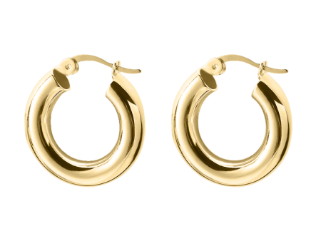 Thick Hollow Hoop Earrings For Discount