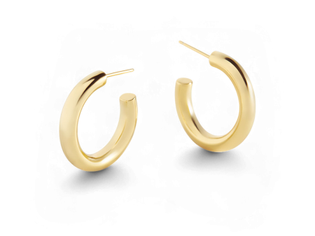 Bold Hoop Earrings Hot on Sale