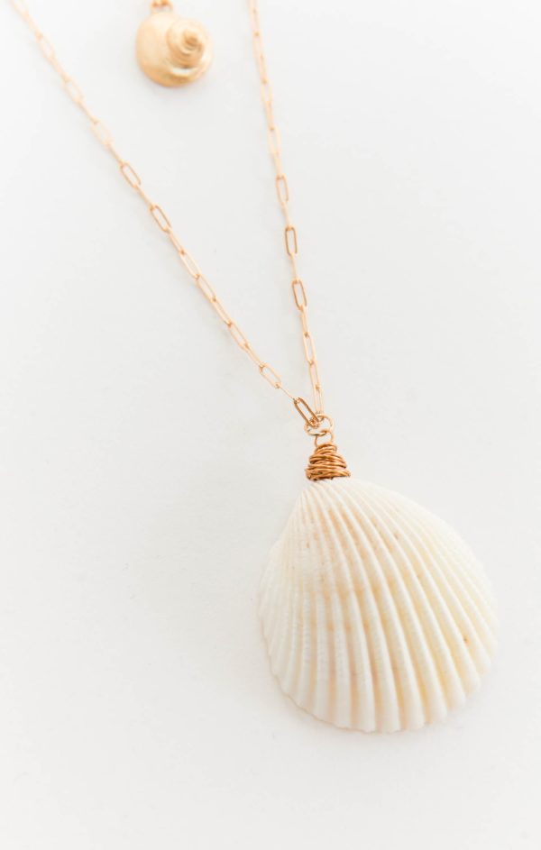 Shell Chain Necklace ~ Gold For Sale