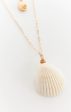 Shell Chain Necklace ~ Gold For Sale