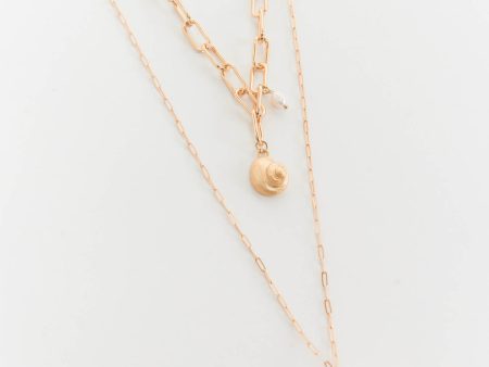 Shell Chain Necklace ~ Gold For Sale